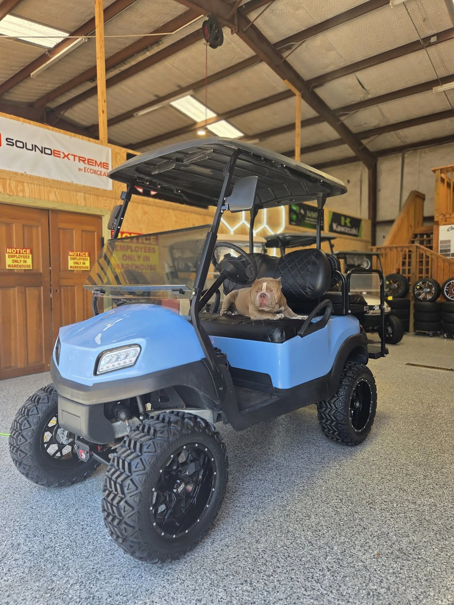 Blue showroom cart